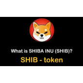 shib币未来前景大致一览