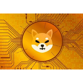 狗币的今日价格(狗币 今日价格)