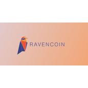 rvn乌鸦币2022年的走势