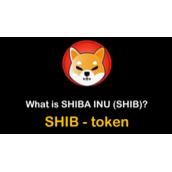 SHIB币五年后价格大致推测