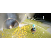 光遇风行季小金人在哪里-全部位置攻略