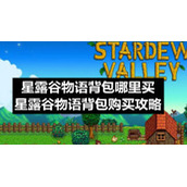 星露谷物语背包哪里买-星露谷物语背包购买策略