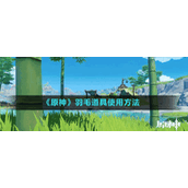 《原神》羽毛道具使用方法