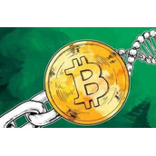 比特币钱包是中文的吗(网页比特币钱包)