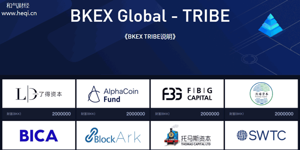 BKEX交易所Tribe是什么，TRIBE详细说明BKEX交易所Tribe是什么，TRIBE详细说明第1张