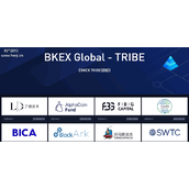 BKEX交易所Tribe是什么，TRIBE详细说明