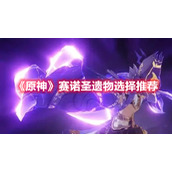 《原神》赛诺圣遗物选择推荐