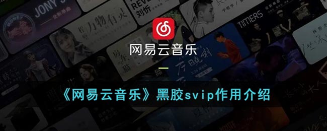 《网易云音乐》黑胶svip作用介绍