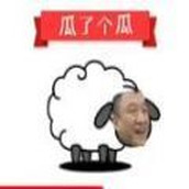 瓜了个瓜安装