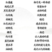 汉字找茬王花语连连看怎么过
