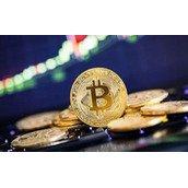 比特币交易网网(比特币交易网网址)