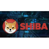 山寨币数字货币的区别(山寨币和竞争币的区别?)