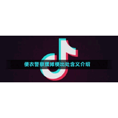 便衣警察摆摊梗出处含义介绍