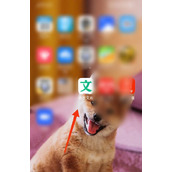 百度文库怎么看文库币数量