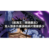 《航海王：燃烧意志》龙人凯多升星消耗碎片需要多少