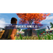 禁闭求生攻略汇总-禁闭求生全流程攻略
