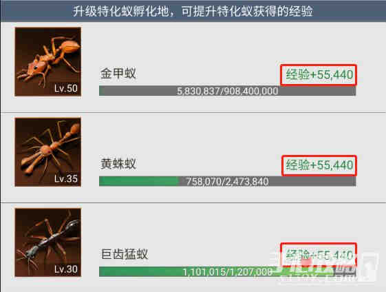《小小蚁国》特化蚁如何进阶培养