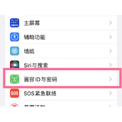 苹果14面容ID在哪里录制