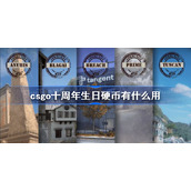 csgo十周年生日硬币有什么用-csgo十周年生日硬币作用一览