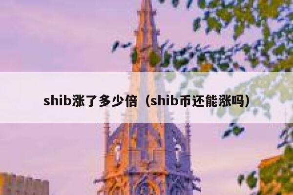 shib涨了多少倍（shib币还能涨吗） 第1张