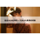 包含2020比特币一个多少人民币的词条