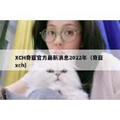 XCH奇亚官方最新消息2022年（奇亚 xch）