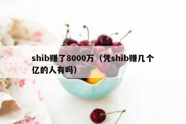 shib赚了8000万（凭shib赚几个亿的人有吗） 第1张