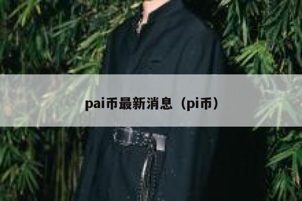 pai币最新消息（pi币） 第1张