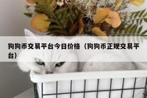 狗狗币交易平台今日价格（狗狗币正规交易平台） 第1张