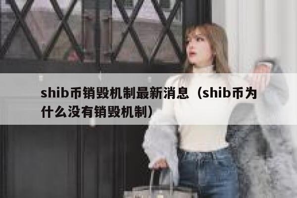 shib币销毁机制最新消息（shib币为什么没有销毁机制） 第1张