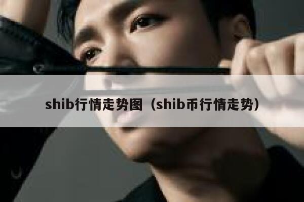 shib行情走势图（shib币行情走势） 第1张