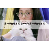 比特币在哪里买（2009年比特币在哪里买）