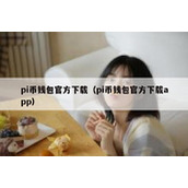 pi币钱包官方下载（pi币钱包官方下载app）