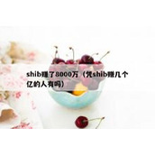 shib赚了8000万（凭shib赚几个亿的人有吗）