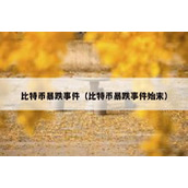比特币暴跌事件（比特币暴跌事件始末）