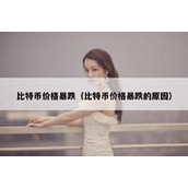 比特币价格暴跌（比特币价格暴跌的原因）