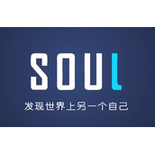 soul在哪里进入电子宠物功能