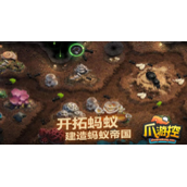 小小蚁国特化蚁怎么搭配