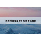 shib币发行量多少枚（pi币发行总量）
