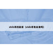 shib币的前景（shib币有未来吗）