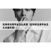 比特币交易平台怎么充值（比特币交易平台怎么充值交易）