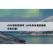 shib币前景如何（shib币未来到底有没有价值）