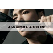 shib行情走势图（shib币行情走势）