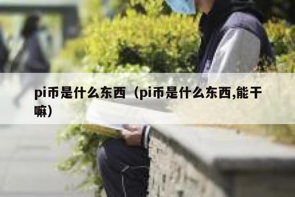 pi币是什么东西（pi币是什么东西,能干嘛） 第1张