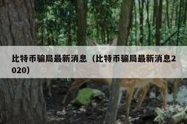 比特币骗局最新消息（比特币骗局最新消息2020） 第1张