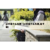 pi币是什么东西（pi币是什么东西,能干嘛）