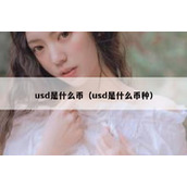 usd是什么币（usd是什么币种）