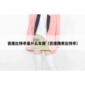 百度比特币是什么东西（百度搜索比特币）