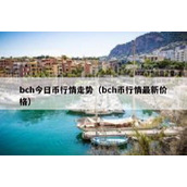 bch今日币行情走势（bch币行情最新价格）