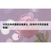 今天比特币最新价格美元（比特币今天价格走势图）